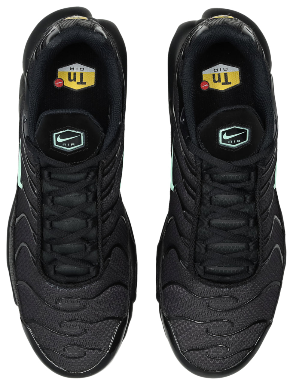 Nike Air Max TN Tuned 1 Trainers in Black-Mint Foam-Dk Smoke Grey