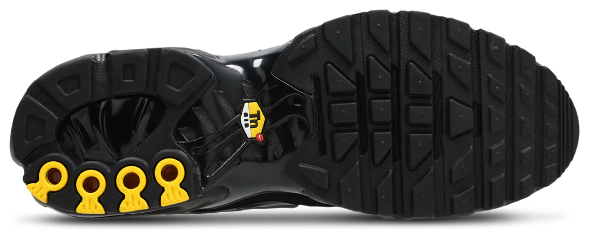 Nike Air Max TN Tuned 1 Trainers in Dk Smoke Grey-Mtlc Cool Grey
