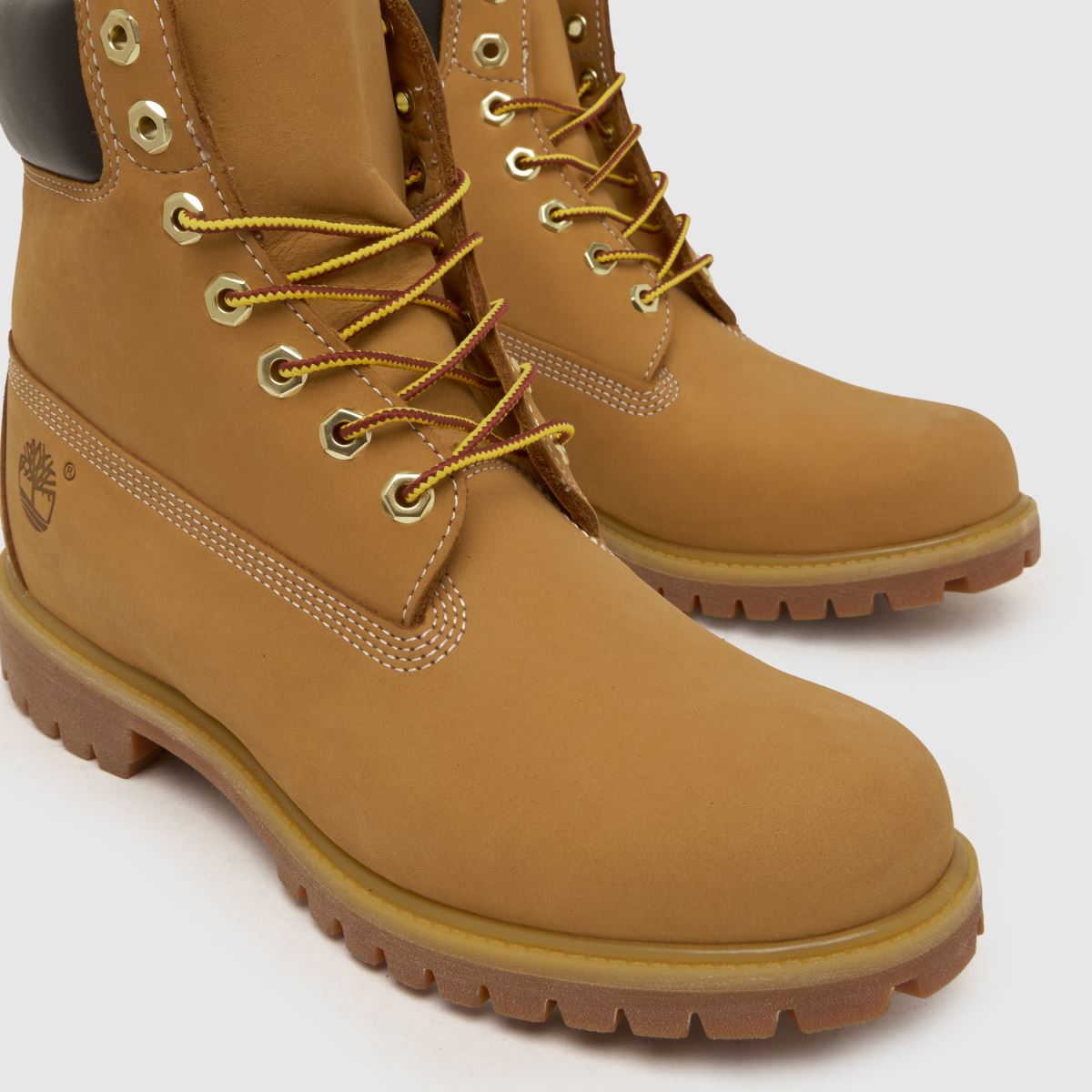 Timberland Premium 6 Inch Boots in Wheat Tan Nubuck
